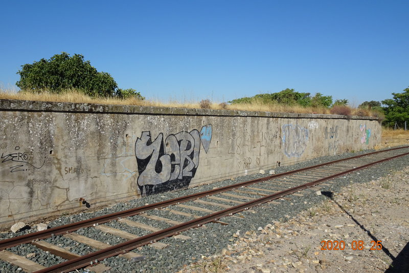 DSC03190.JPG