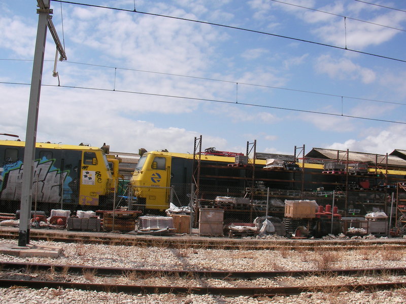SANY0013.JPG
