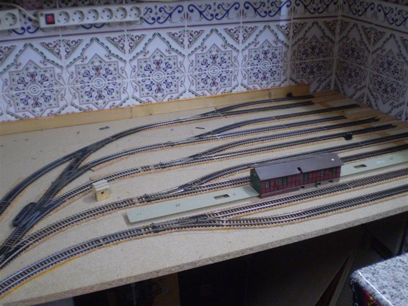 P1010581 (Medium).JPG