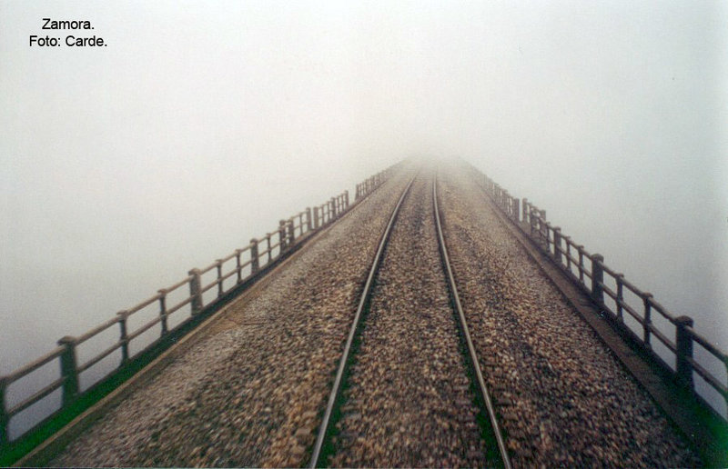 Zamora-000000.jpg