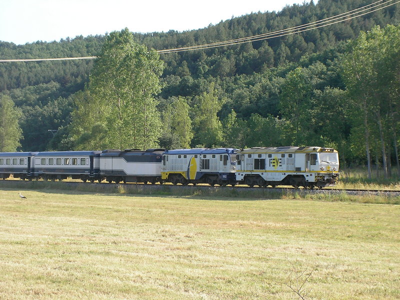 SANY0042.JPG