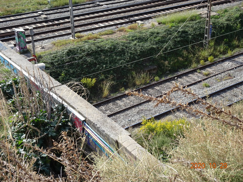 DSC09864.JPG