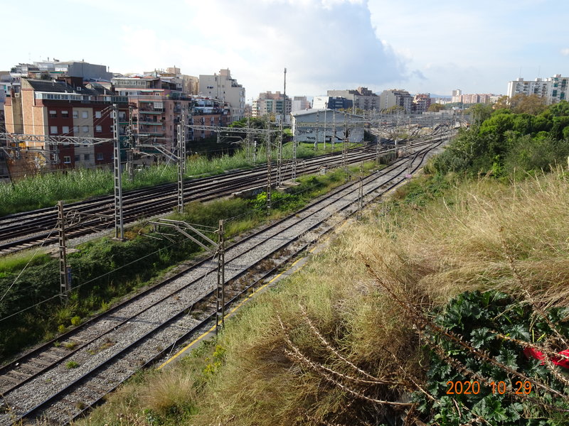 DSC09865.JPG