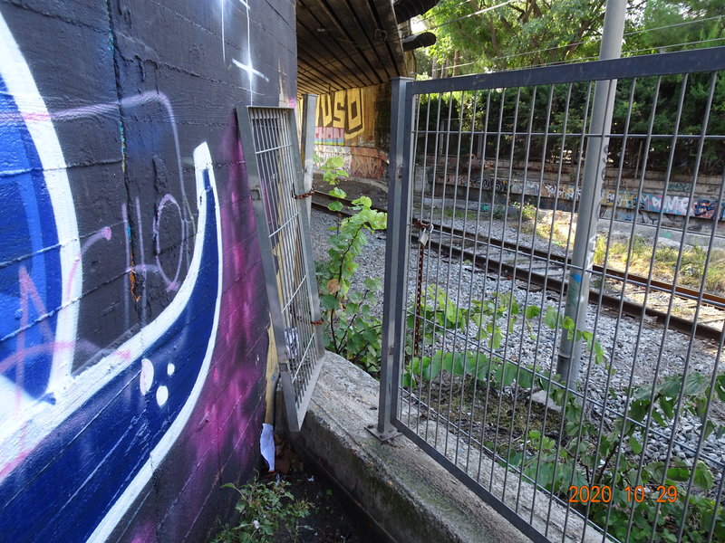 DSC09887.JPG
