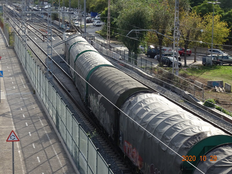 DSC09930.JPG
