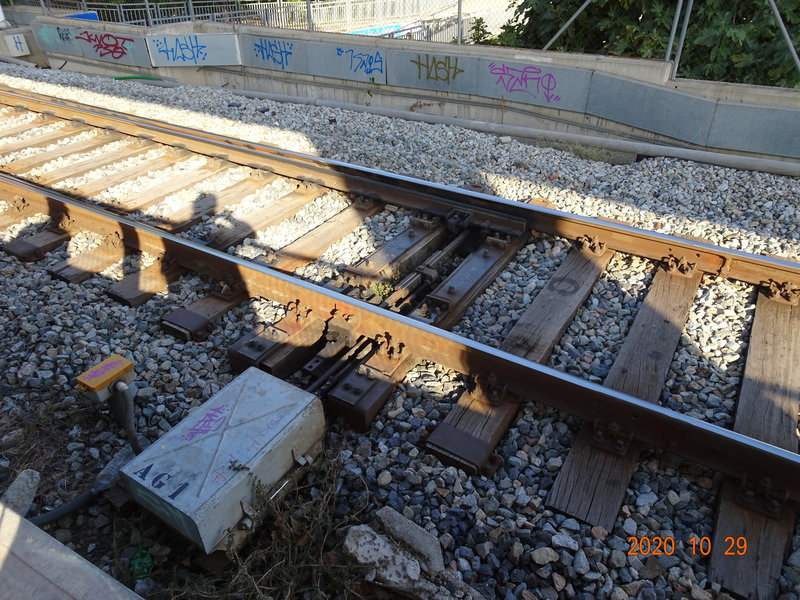 DSC09944.JPG