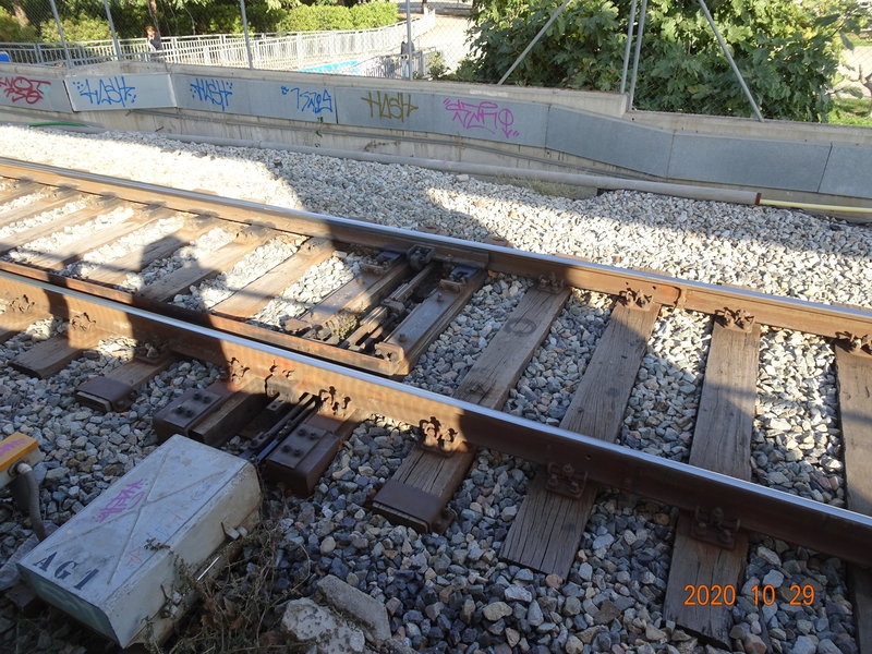 DSC09950.JPG