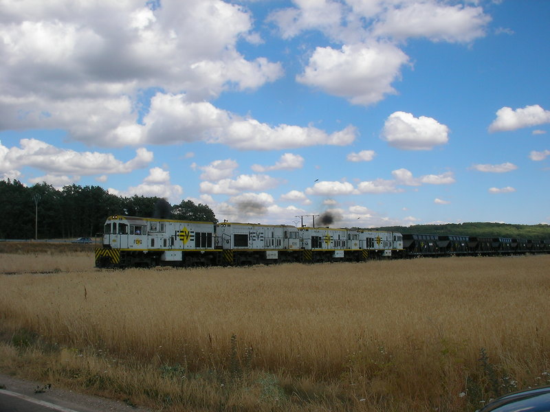 SANY0144.JPG