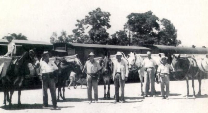 tren-de-los-panaderos.jpg