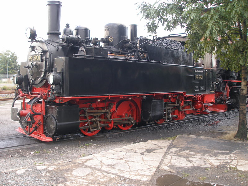 P8200065.JPG