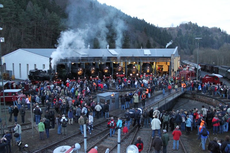 fuzzys in gerolstein.jpg