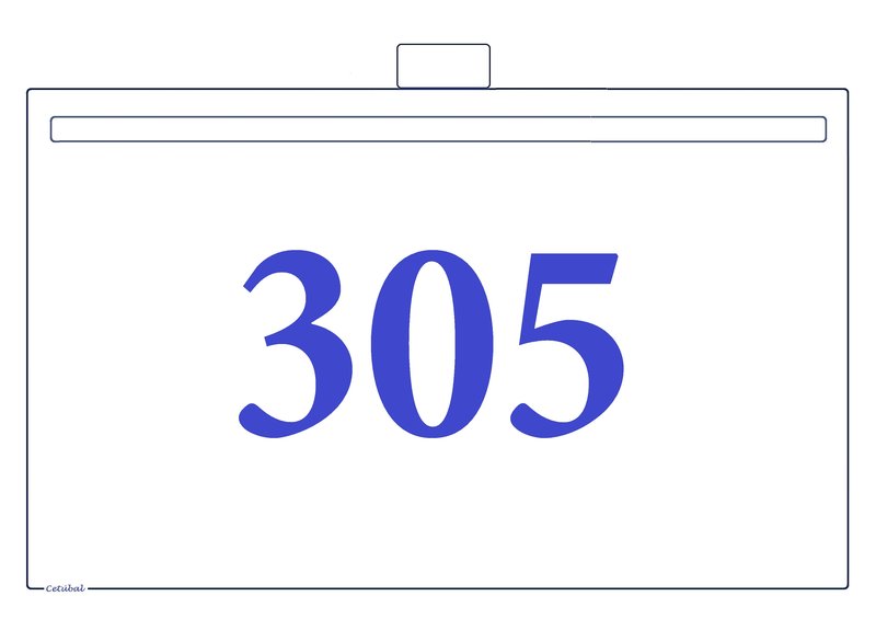 S-305 (1).jpg