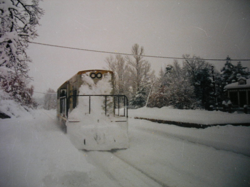 SANY0015.JPG