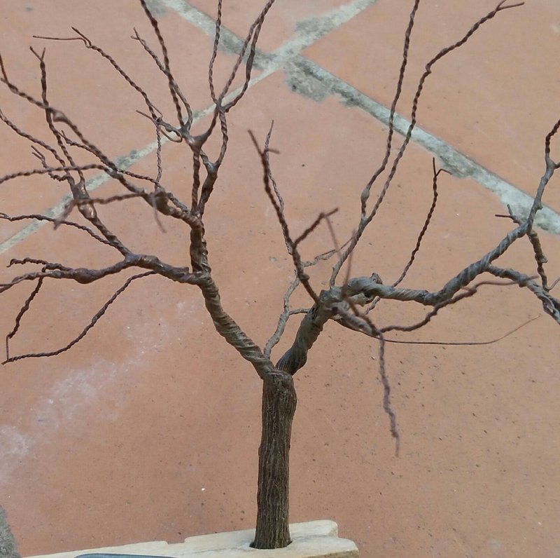 P_20190512_181634_HDR_1_1.jpg