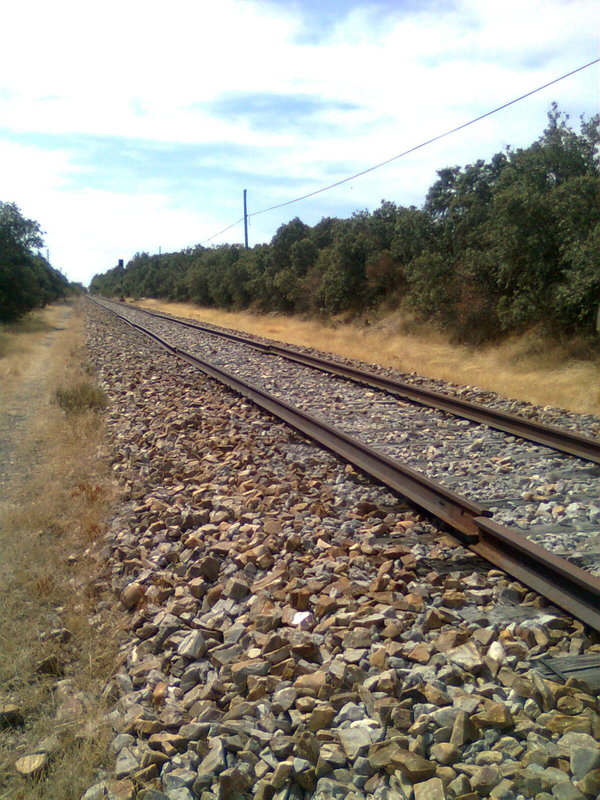 Imagen0003.jpg