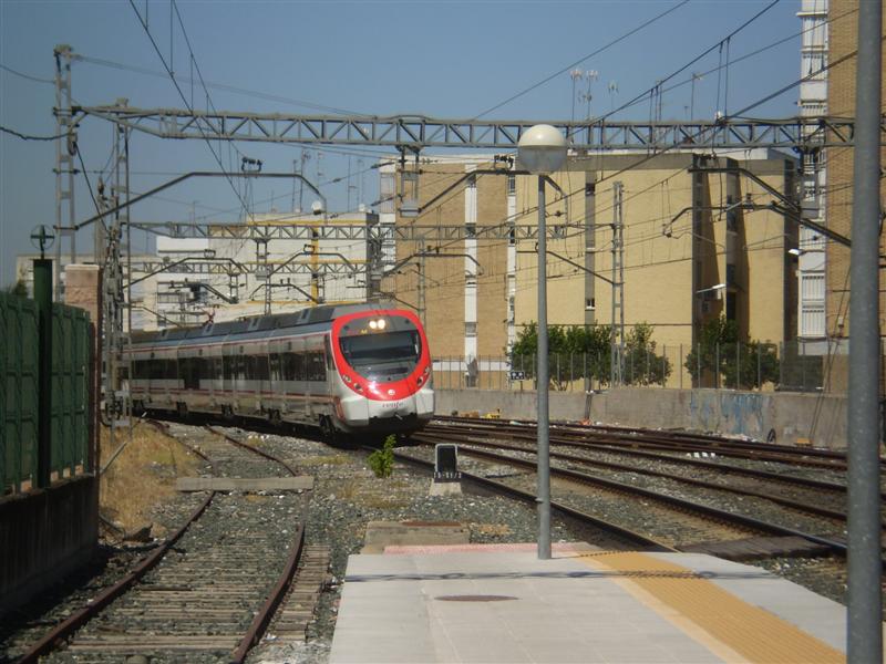 P1010509 (Medium).JPG