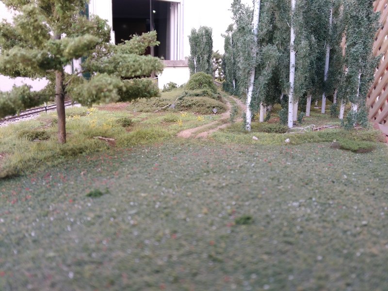 P_20210314_131445.jpg