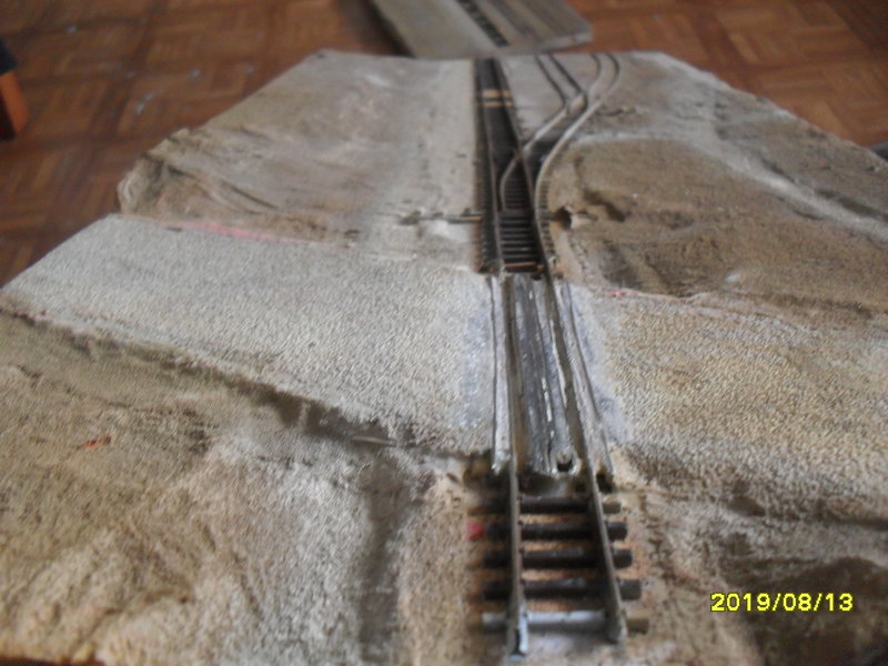 SDC14513.JPG