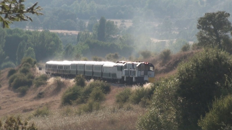 DSC00600.JPG