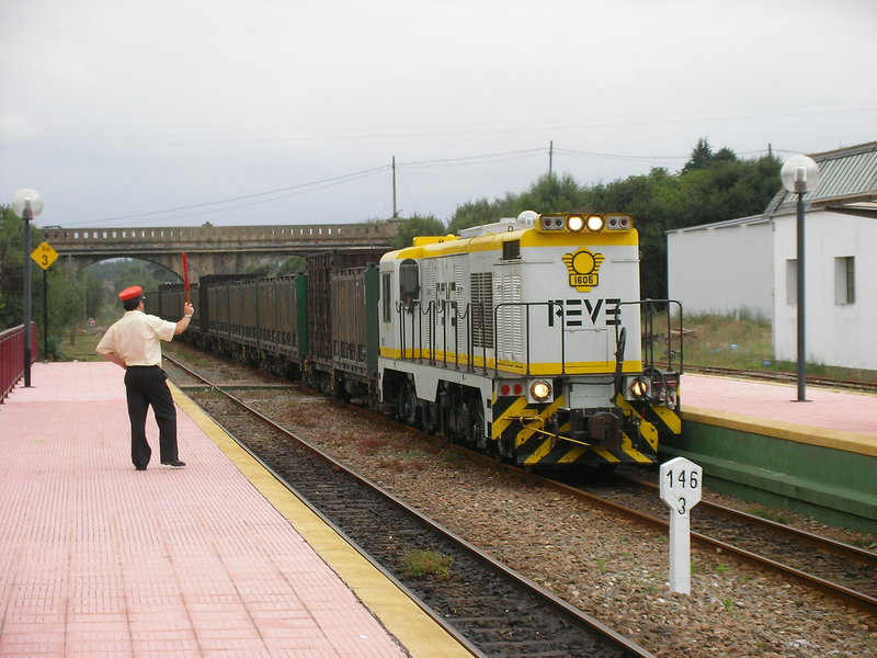 SANY0011.JPG