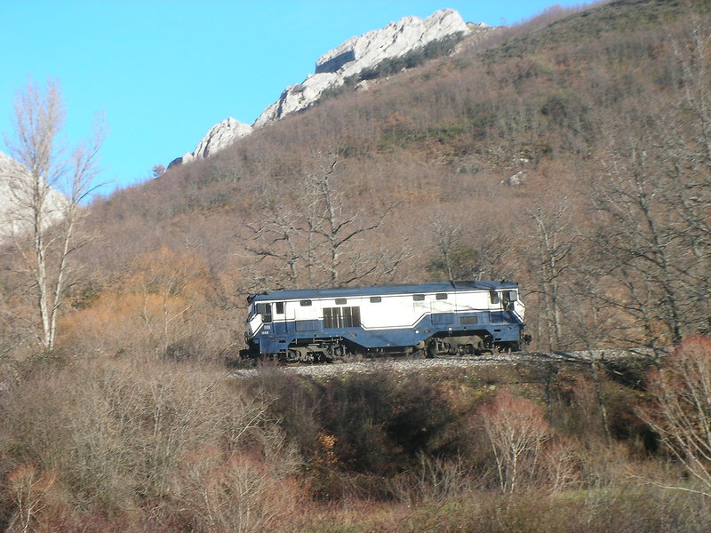 SANY0131.JPG