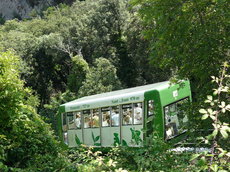 P1040645.JPG