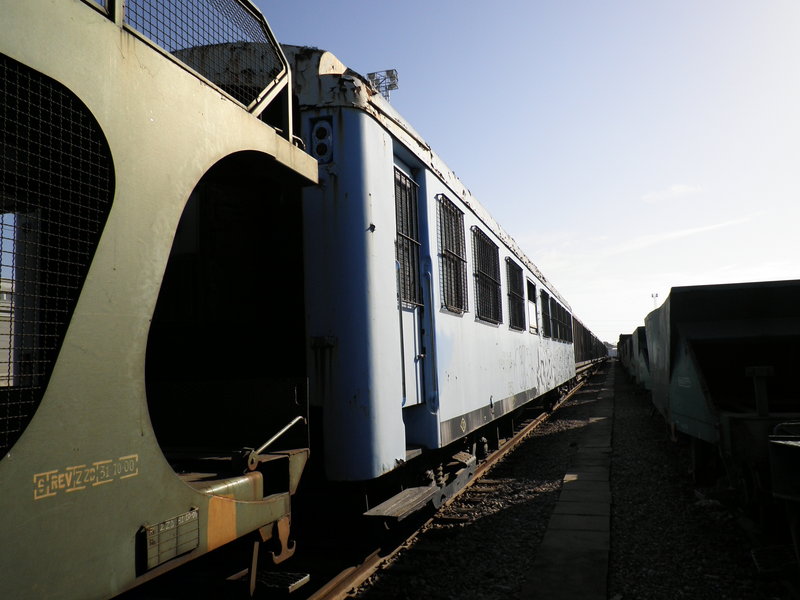P9010020.JPG