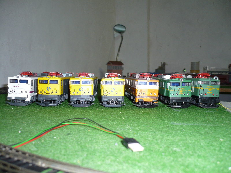 P1000549.JPG