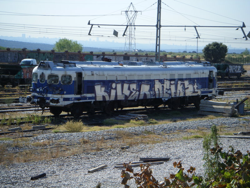 Guadalupe 3-VII-12-5.JPG