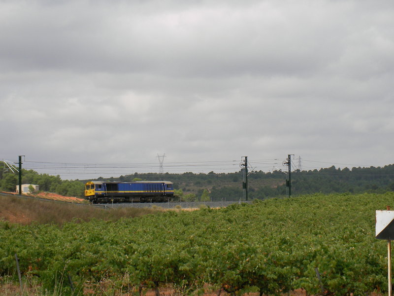 SANY0016.JPG
