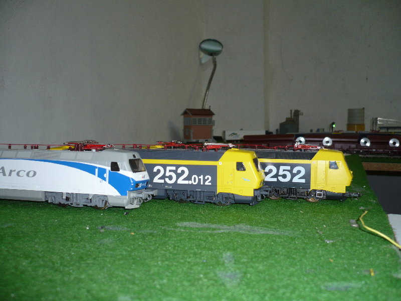P1000562.JPG