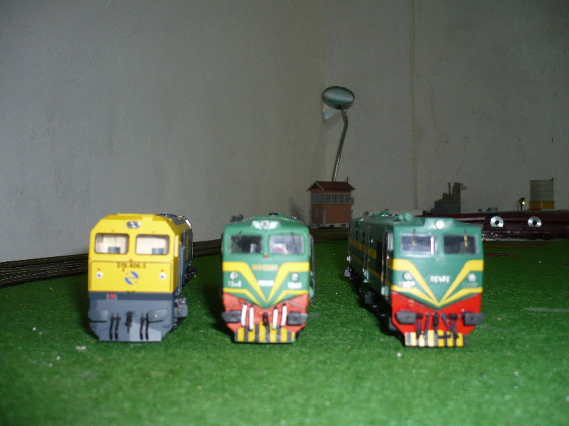 P1000559.JPG
