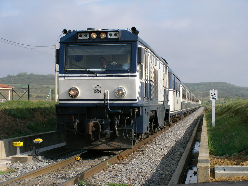 SANY0237.JPG