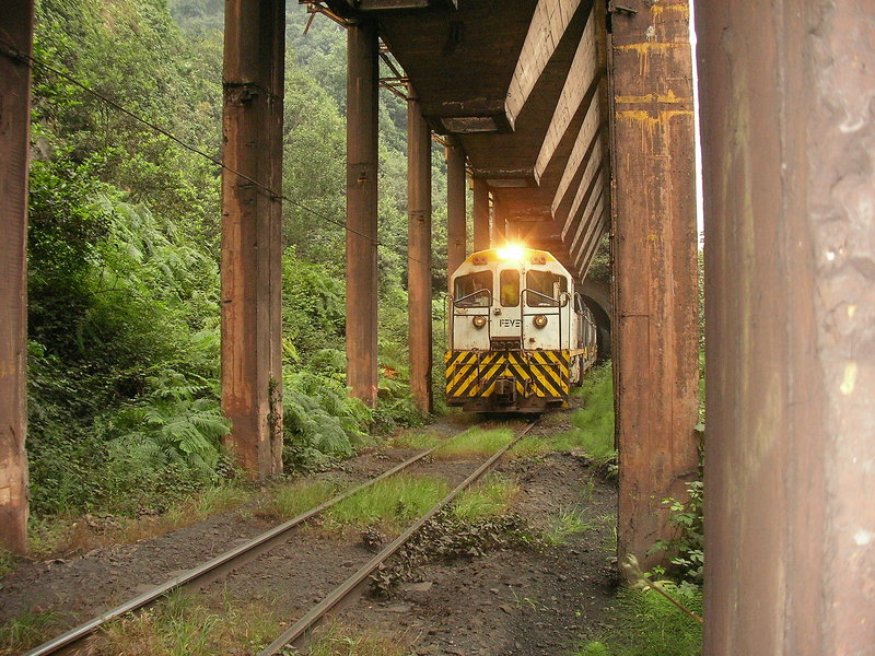SANY0332.JPG