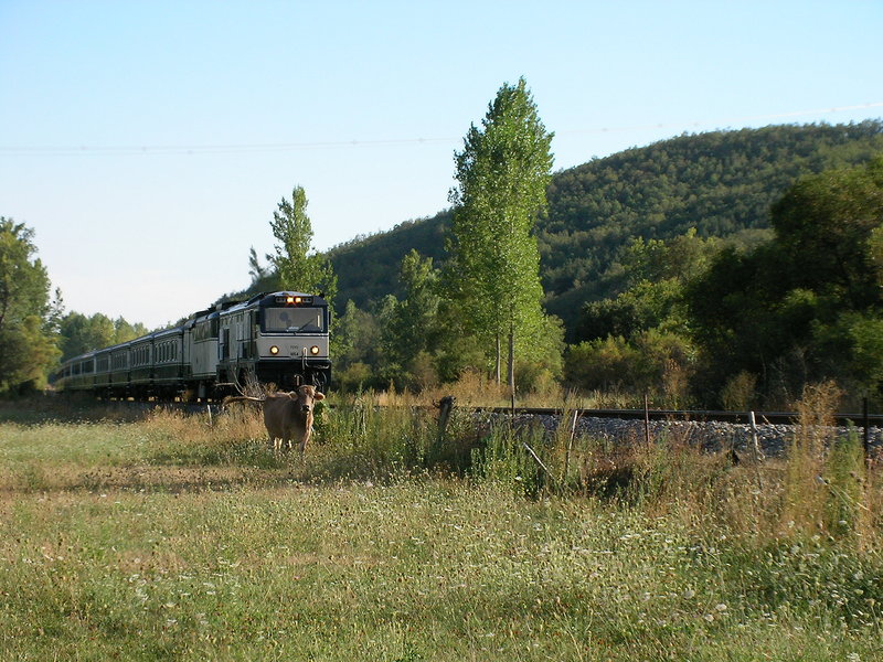 SANY0010.JPG