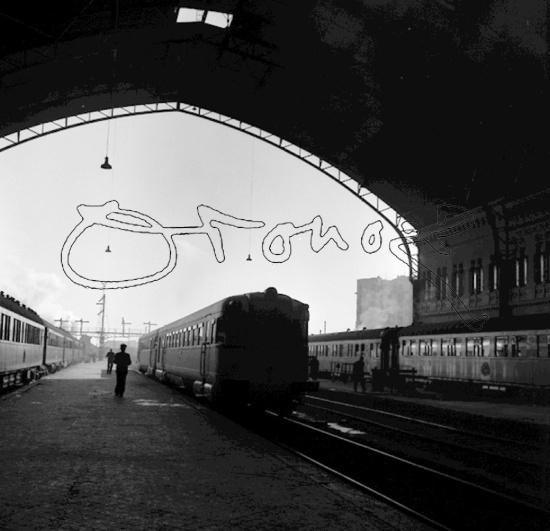 show-midres2.jpg