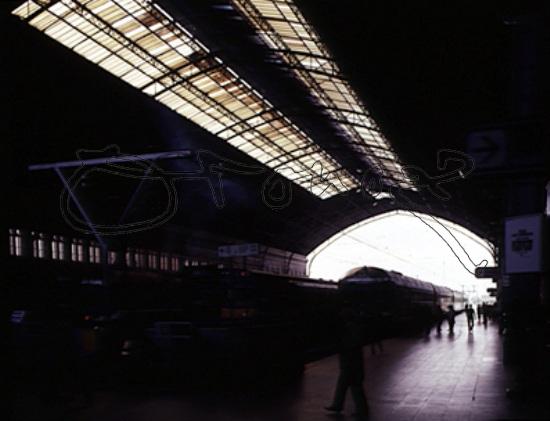 show-midres4.jpg