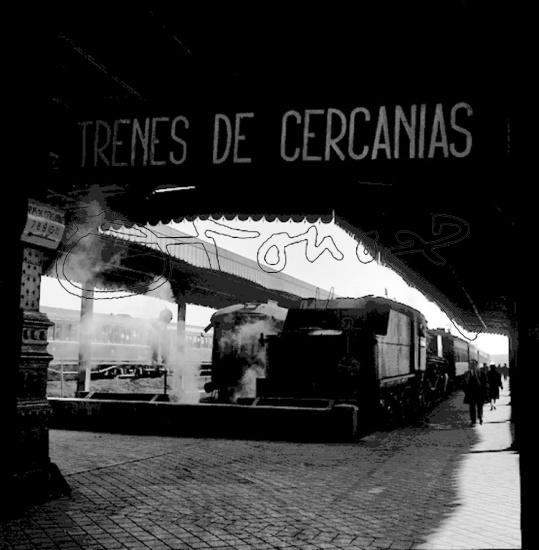 show-midres15.jpg