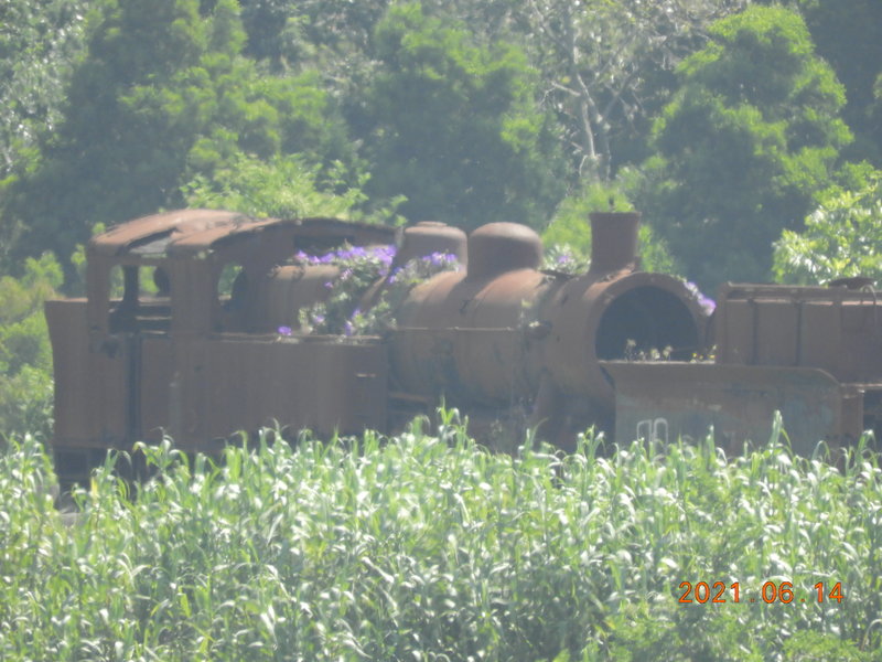 DSCN6342.JPG
