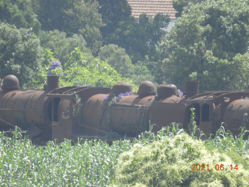 DSCN6343.JPG