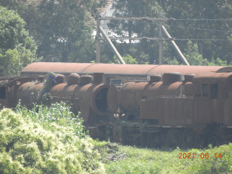 DSCN6345.JPG