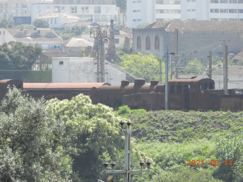DSCN6351.JPG