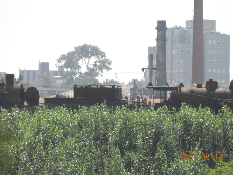 DSCN6356.JPG