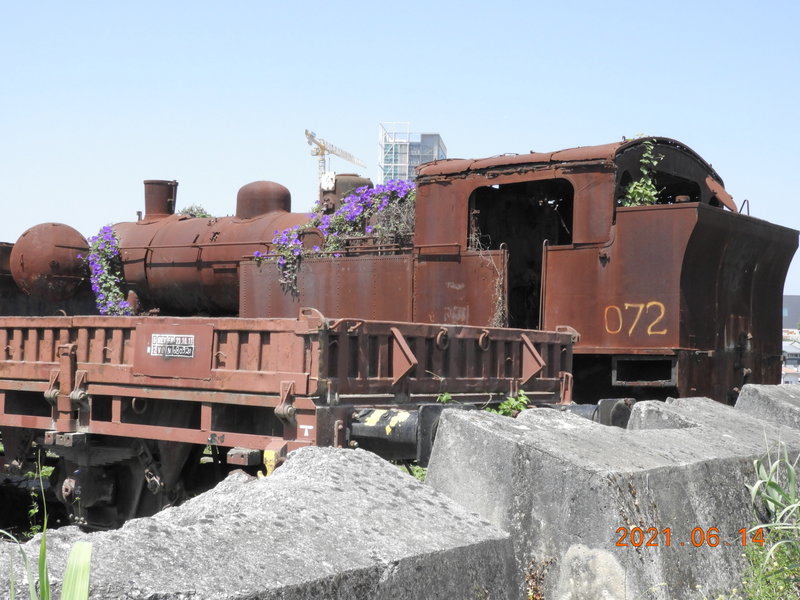 DSCN6376.JPG