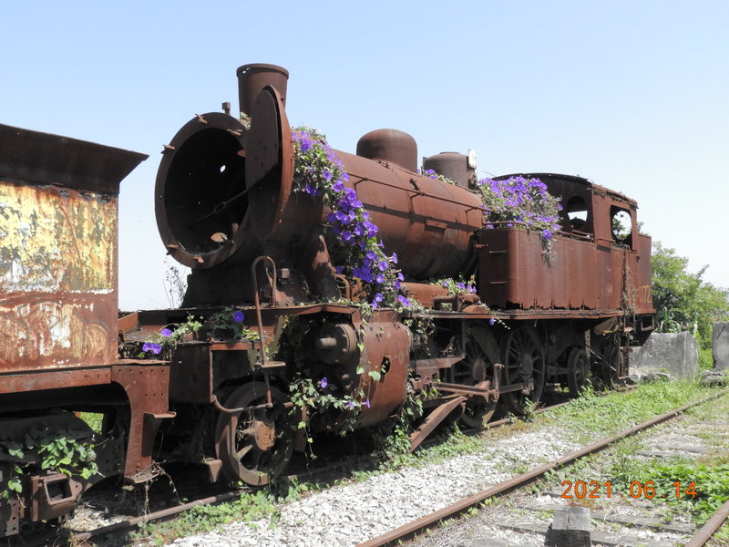 DSCN6378.JPG