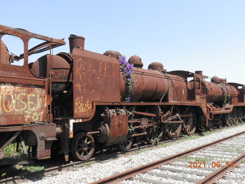 DSCN6380.JPG