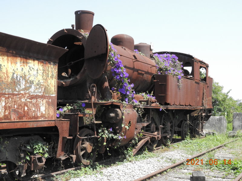DSCN6389.JPG