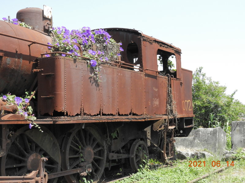 DSCN6390.JPG