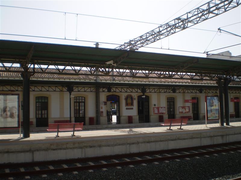 P1010018 (Medium).JPG