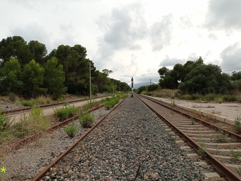 Mont Roig del Camp VI.jpg